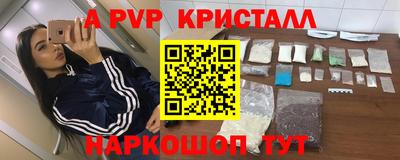 стаф Славгород
