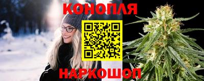 стаф Славгород
