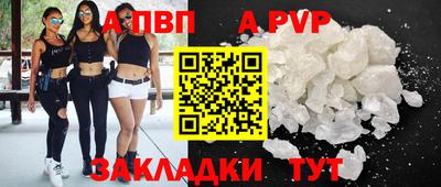 стаф Славгород
