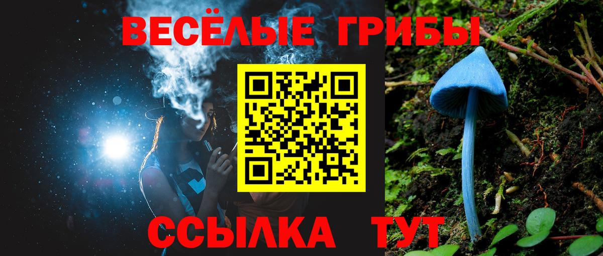 Псилоцибиновые грибы GOLDEN TEACHER Павловский Посад